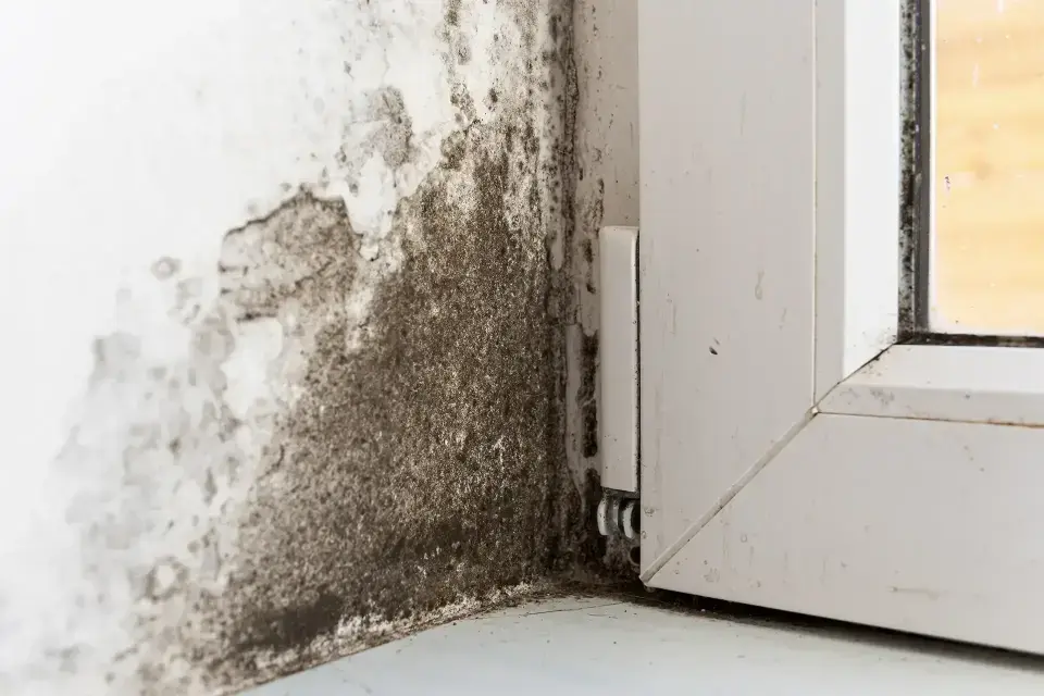 Restoring Safety And Comfort To Local Properties — Carlsbad, CA